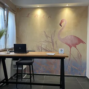 book here
